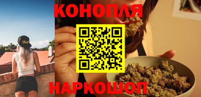 гидра Камышлов