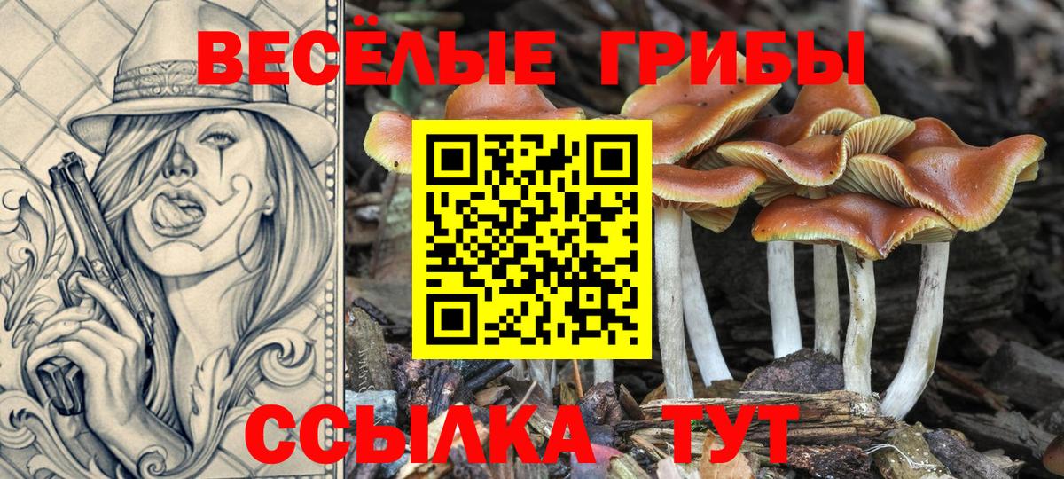 Псилоцибиновые грибы Magic Shrooms Ставрополь