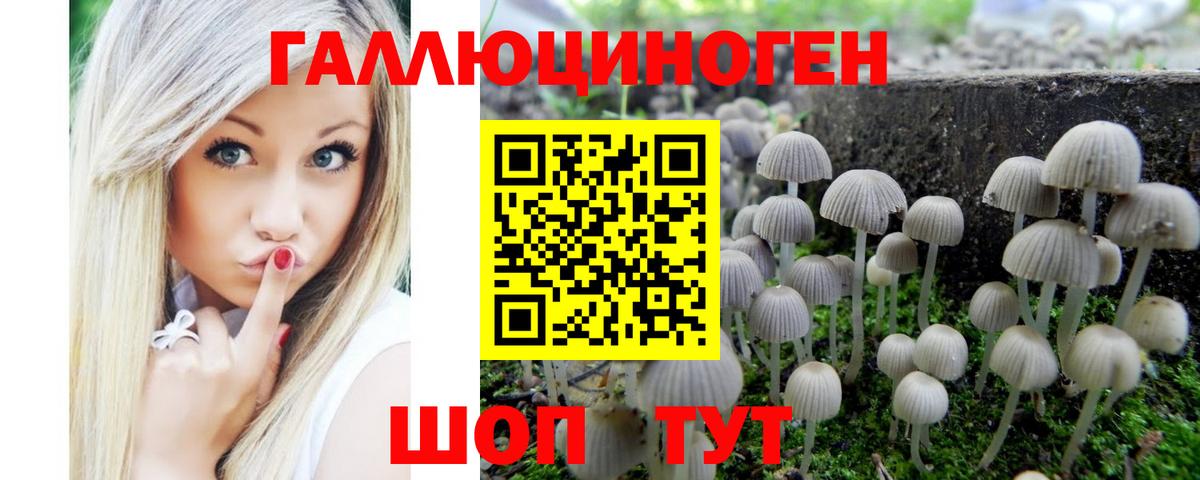 Ставрополь  Псилоцибиновые грибы Cubensis  Вход с VPN 